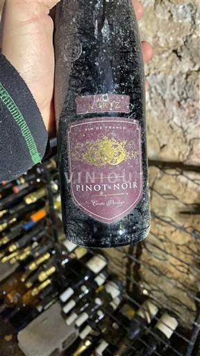 Alsace Kurz Prestige 2020