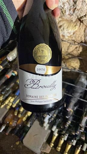 Beaujolais Brouilly Domaine Des Foudres 2024