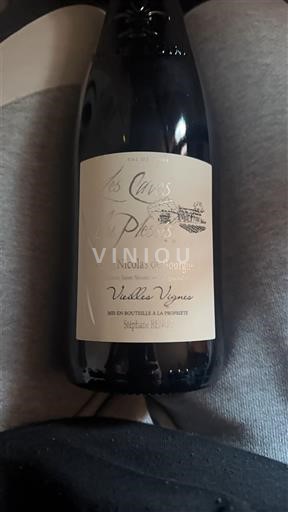 Valle della Loira Saint-Nicolas-De-Bourgueil Les Caves du Plessis Vieilles Vignes 2023