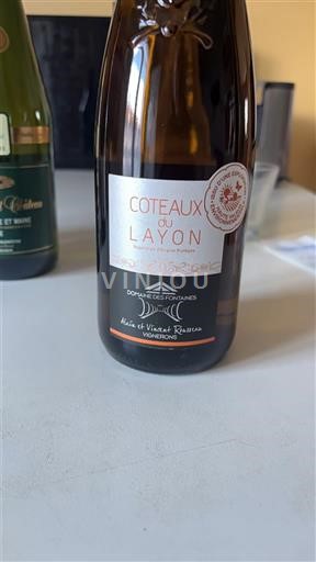 Loirevallei Coteaux du Layon Domaine S Forges 2023
