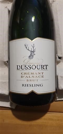 Alsace Alsace-kuohuviini Domaine Ssourt Riesling 2022