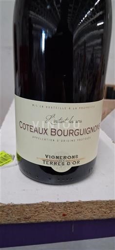 Burgundy Coteaux Bourguignons Vignerons Terres d'Or L'instant des sens Non-Vintage