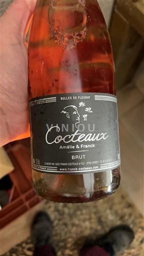 Valea Loarei Crémant de Loire Cocteaux Bulles de Fleury Nemilésimat
