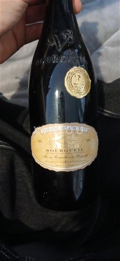 Valle della Loira Bourgueil Domaine S Fontaines Vieilles Vignes 2008