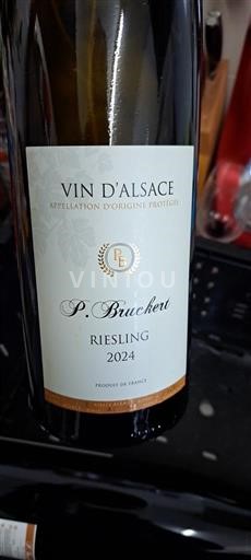 Alsacia P. Bruchet 2024