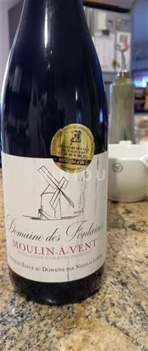 Beaujolais Moulin-à-vent Domaine S Fontaines 2015