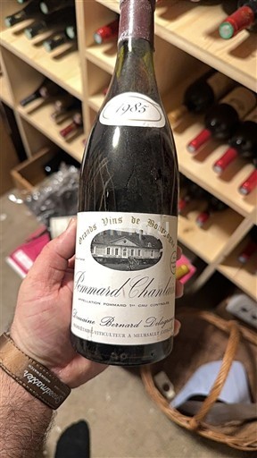 Burgundi Määrittelemätön Premier Cru Domaine Bernard Dugat-Py 1985
