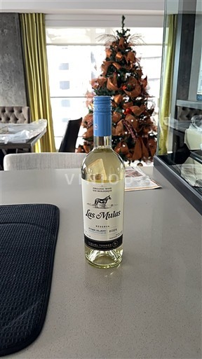 Vale do Maipo Maipo Central Las Mulas Sauvignon Blanc 2022