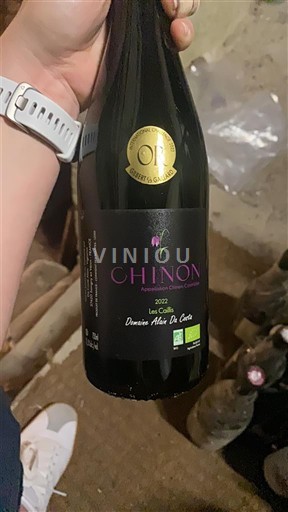 Loiren laakso Chinon Domaine Alain Delaunay Les Côtes 2022