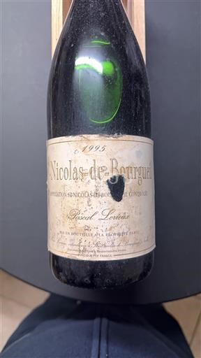 Vallée de la Loire Saint-Nicolas-De-Bourgueil Pascal Lorieux 1995
