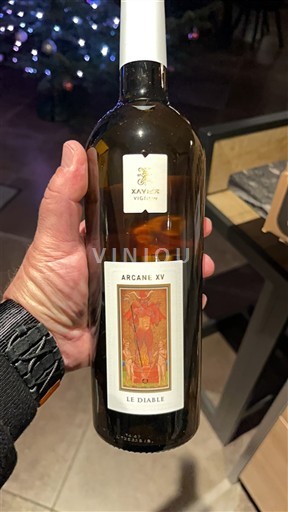 Valle del Rodano Côtes-du-Rhône Xavier Vignon Arcane XV Le Diable 2024