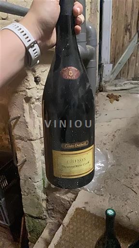 Loiren laakso Chinon Couly-Dutheil Domaine rené couly 2017