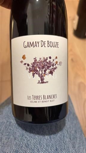 Valle del Loira No especificado Les Terres Blanches Gamay de Bouze 2023
