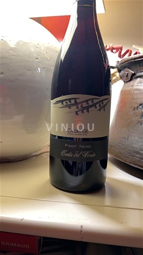 Lombardía Oltrepò Pavese Cà del Gé Pinot nero 2024