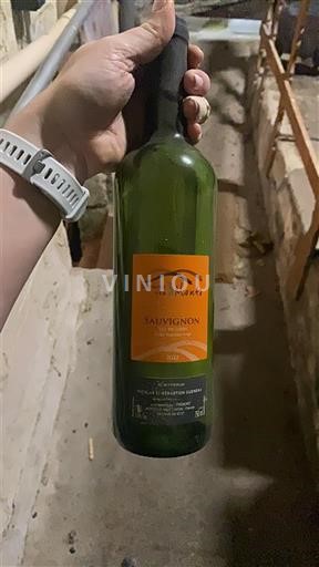 Loire-dalen Loiredalen Domaine S 3 monts SAUVIGNON 2022