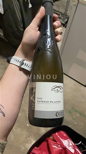 Loirevallei Coteaux du Layon Domaine Des 3 Monts Les Bretonnes 2022