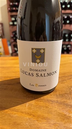 Loiren laakso Muscadet Domaine Lucas Salmon Les Brosses 2022