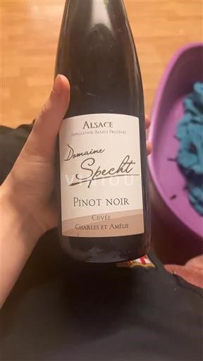 Alsace Domaine Specht Charles et Amélie 2022