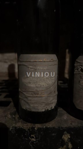 Valle del Loira Anjou Domaine La Bluetterie Cardinal 2020