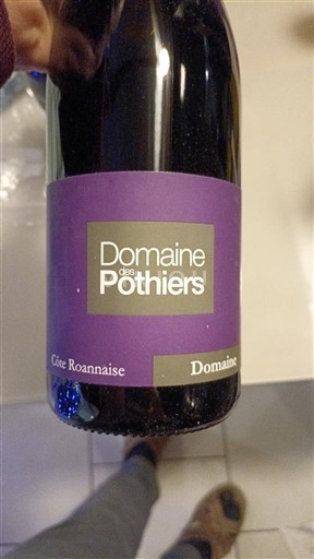 Valle della Loira Côte-roannaise Domaine S Pothiers 2023