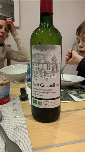Bordeaux Saint-Émilion Cormeil Figeac Magnan Petit Cormeil 2021