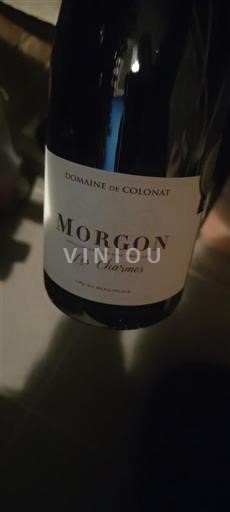 Beaujolais Morgon Domaine Colonat Les Charmes 2023