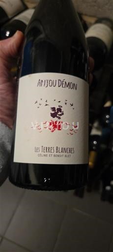 Loirevallei Anjou Les Terres Blanches Anjou Démon 2019