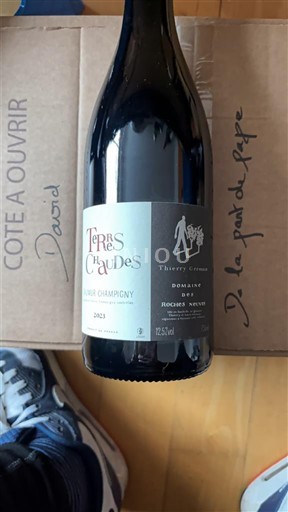 Valea Loarei Saumur-Champigny Thierry Germain Terres Chaudes 2023