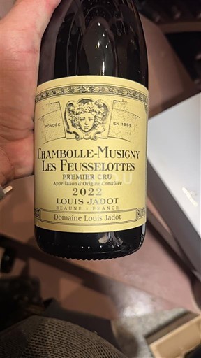 Bourgondië Chambolle-Musigny Premier Cru Domaine Louis Jadot Les Feusselottes 2022