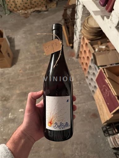 Valle del Rodano Côtes-du-Rhône Domaine Marcel Richaud Bulbille Senza annata