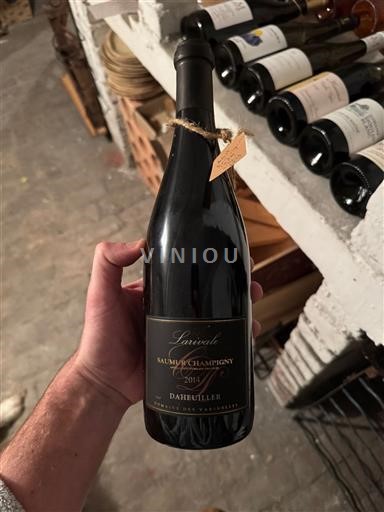 Loiren laakso Saumur-champigny Domaine S Varinelles Larivale 2014