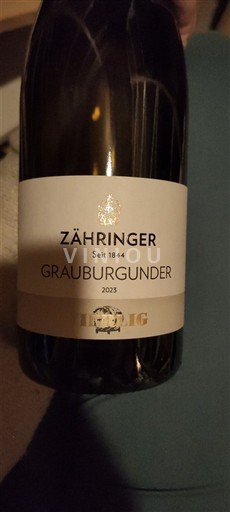 Bádensko Zähringer Grauburgunder Vierlig 2023