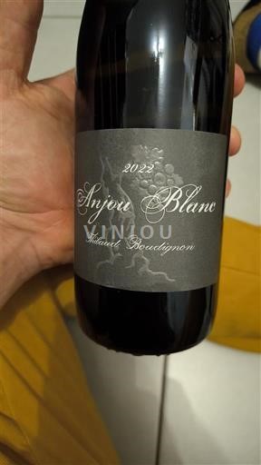 Alsace Pinot Blanc Thébaud Boulayignon 2022