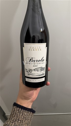 Piemont Barolo Valle Ilaria 2021