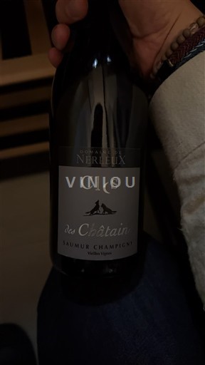 Loiren laakso Saumur-champigny Domaine Nerleux Clos des Châtaigniers Ei vuosikertaa