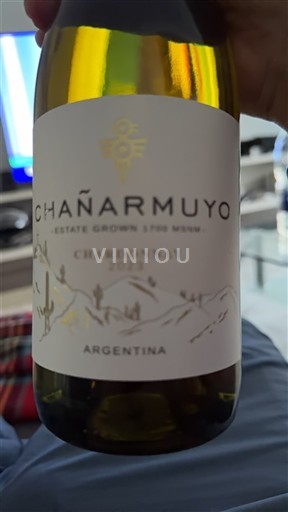Rioja Unspecified Chañarmuyo C hardonnay 2023