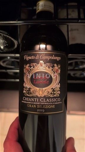 Toscana Chianti Classico Leandro Lasuole Vigneto di Campolungo 2019