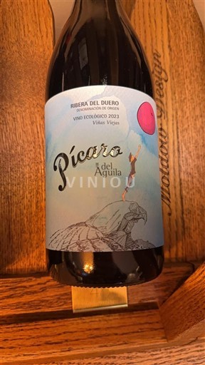 Castela e Leão Ribera del Duero Dominio del Águila Pícaro del Águila 2023