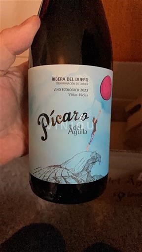 Castille et León Ribera del Duero Dominio del Águila Pícaro del Águila 2023