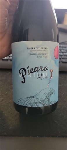 Castilla y León Ribera del Duero Dominio del Águila Pícaro del Águila 2023