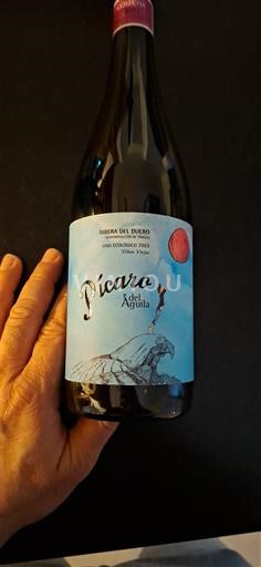 Castela e Leão Ribera del Duero Dominio del Águila Pícaro del Águila 2023