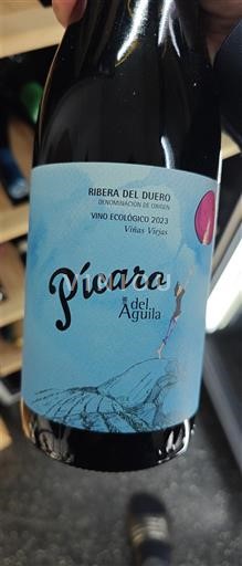 Castilia și León Ribera del Duero Dominio del Águila Pícaro del Águila 2023