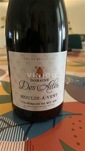 Beaujolais Moulin-à-vent Domaine S Ailes 2023