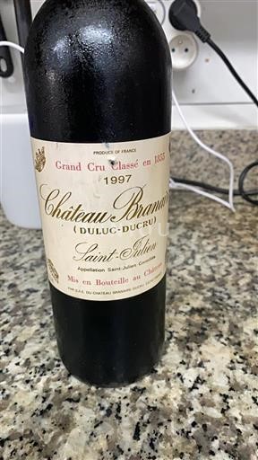 Bordeaux Saint-Julien Grand Cru Château Branaire-Ducru 1997