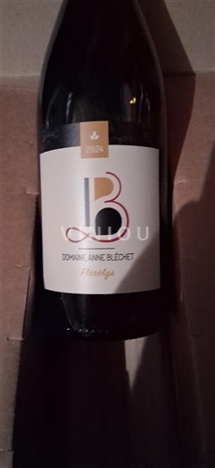 Loiren laakso Orléans Domaine Anne Bléchet Florelys 2024