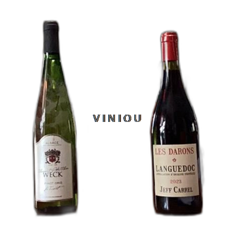 Elzas Pinot grigio Clément et Matthieu WECK Le Toquet 2021