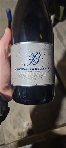 Loire Valley Crémant de Loire Château Bellevue Non-Vintage