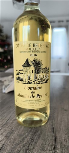 Sud-Ouest Côtes-de-bergerac Domaine Moulin de Peyrat 2016