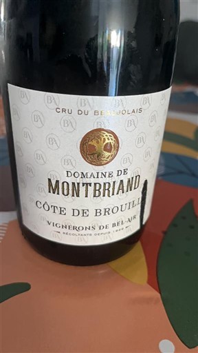 Beaujolais Côte-de-brouilly Domaine Montbriand 2022