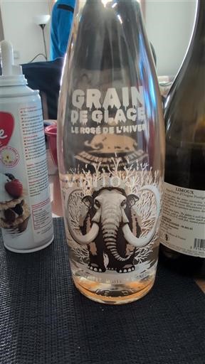 Provence, Lower Rhône Valley, Corsica Mediterranean Grain de Glace Le Rosé de l'Hiver 2025